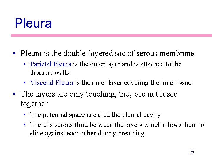 Pleura • Pleura is the double-layered sac of serous membrane • Parietal Pleura is
