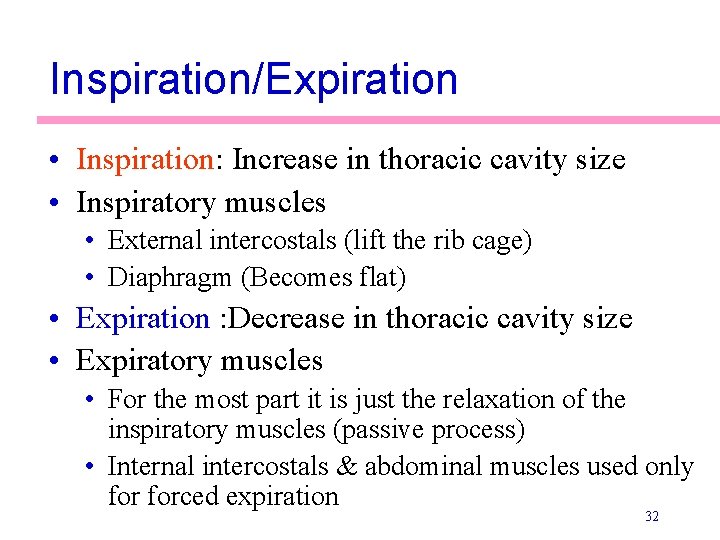 Inspiration/Expiration • Inspiration: Increase in thoracic cavity size • Inspiratory muscles • External intercostals