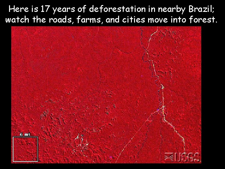 Here is 17 years of deforestation in nearby Brazil; watch the roads, farms, and
