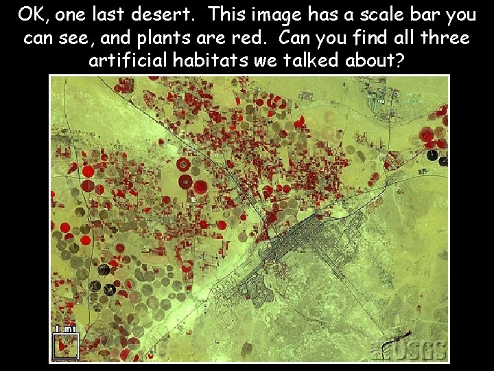 OK, one last desert. This image has a scale bar you can see, and
