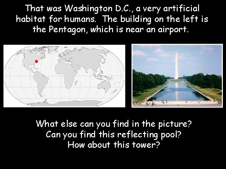 That was Washington D. C. , a very artificial habitat for humans. The building