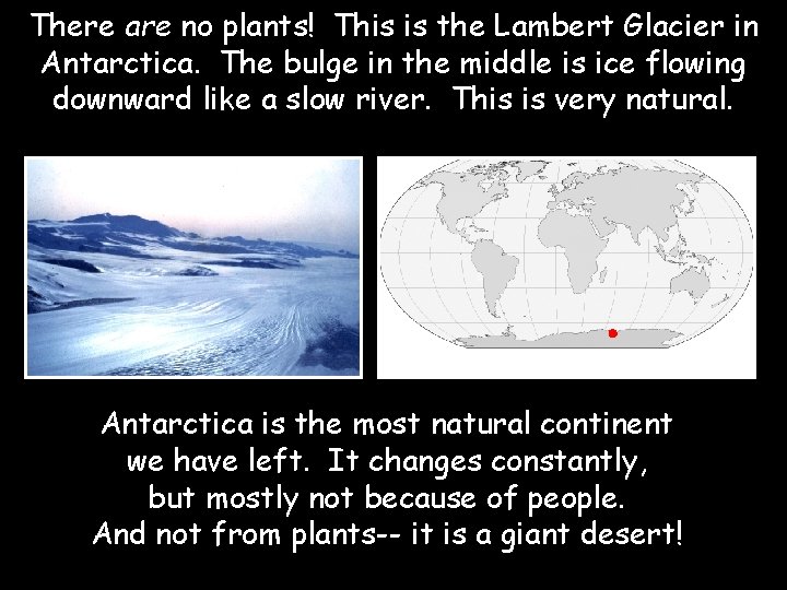 There are no plants! This is the Lambert Glacier in Antarctica. The bulge in