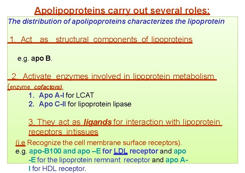 Apolipoproteins carry out several roles: The distribution of apolipoproteins characterizes the lipoprotein 1. Act