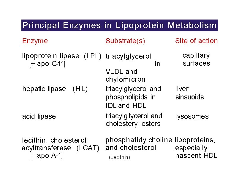 Principal Enzymes in Lipoprotein Metabolism Enzyme Substrate(s) lipoprotein lipase (LPL) triacylglycerol [+ apo C-11]