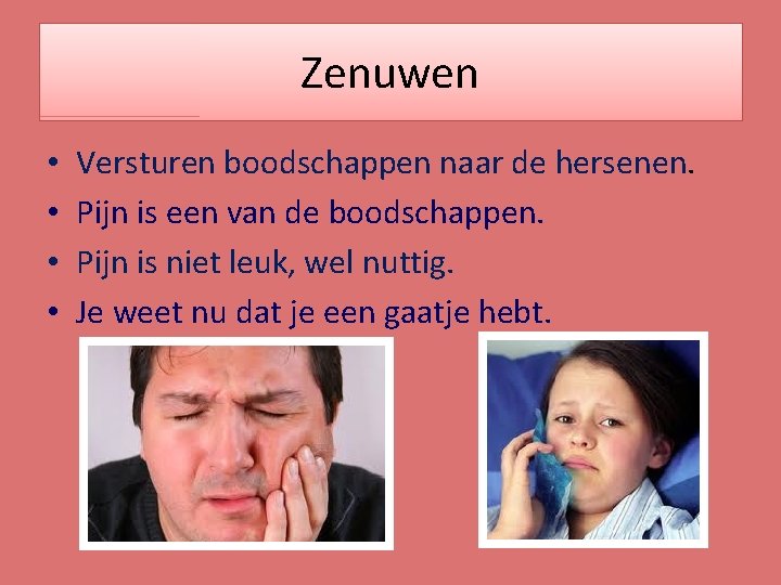 Zenuwen • • Versturen boodschappen naar de hersenen. Pijn is een van de boodschappen.