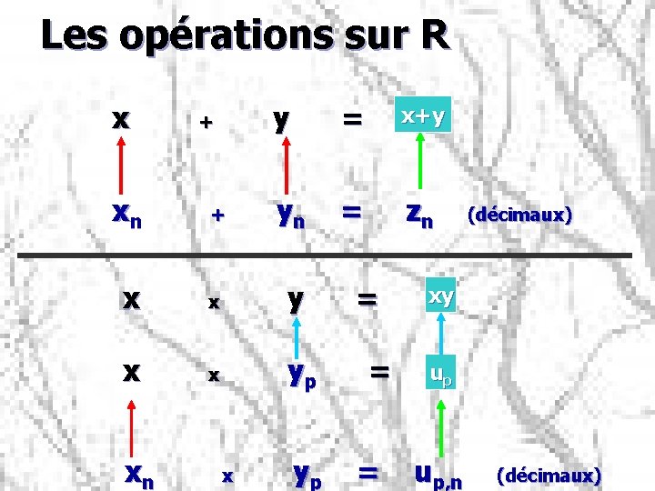 Les opérations sur R x+y x + y = ? xn + yn =