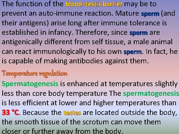 The function of the blood–testis barrier may be to prevent an auto-immune reaction. Mature