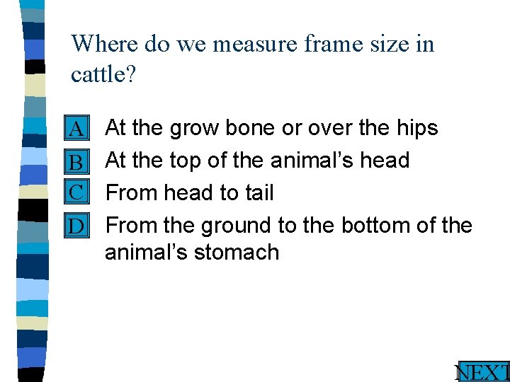 Where do we measure frame size in cattle? n A n B C n