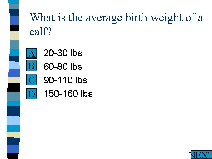 What is the average birth weight of a calf? n 20 -30 lbs A