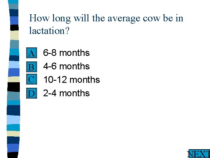 How long will the average cow be in lactation? n A n B C