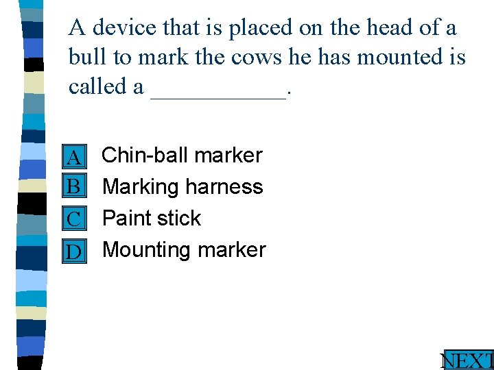 A device that is placed on the head of a bull to mark the