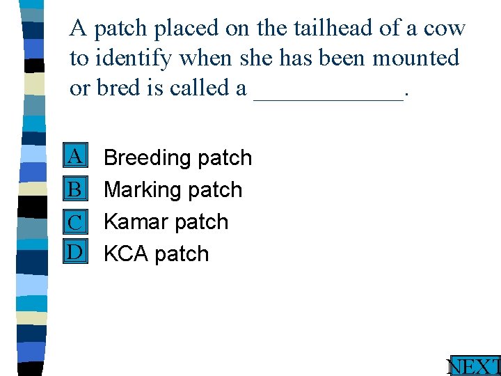 A patch placed on the tailhead of a cow to identify when she has