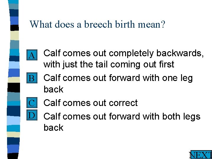 What does a breech birth mean? n Calf comes out completely backwards, A with