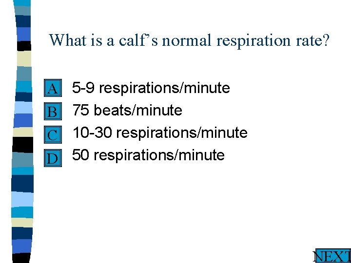 What is a calf’s normal respiration rate? n 5 -9 respirations/minute A n 75