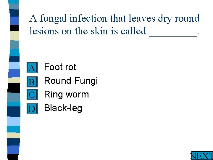 A fungal infection that leaves dry round lesions on the skin is called _____.