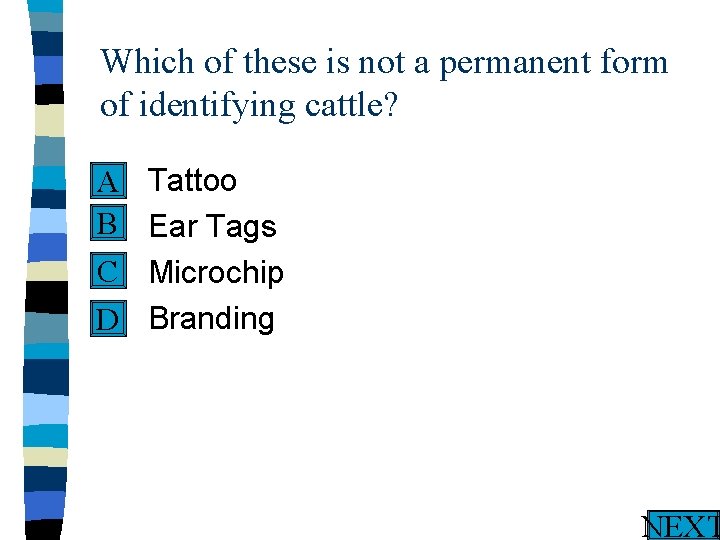 Which of these is not a permanent form of identifying cattle? n Tattoo A