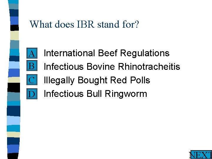 What does IBR stand for? n International Beef Regulations A B n Infectious Bovine