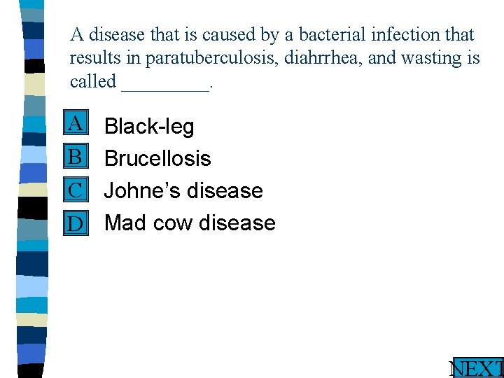 A disease that is caused by a bacterial infection that results in paratuberculosis, diahrrhea,