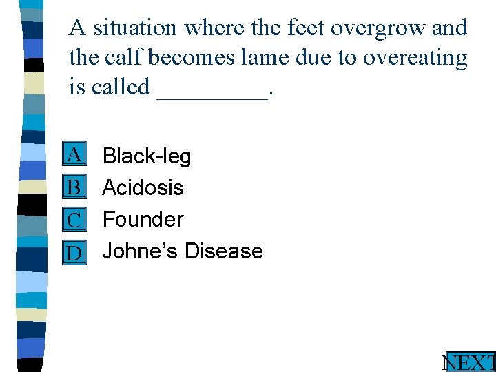 A situation where the feet overgrow and the calf becomes lame due to overeating