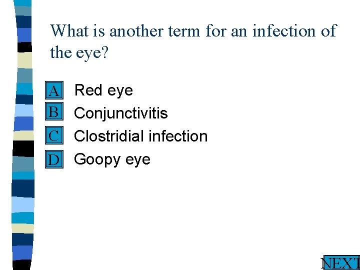 What is another term for an infection of the eye? n Red eye A