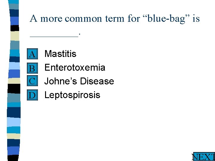 A more common term for “blue-bag” is _____. n A n B C n