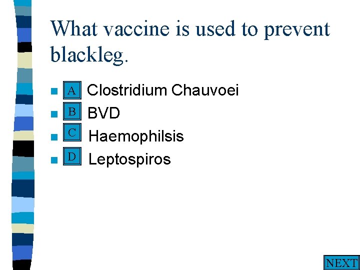 What vaccine is used to prevent blackleg. A n A. n n n Clostridium