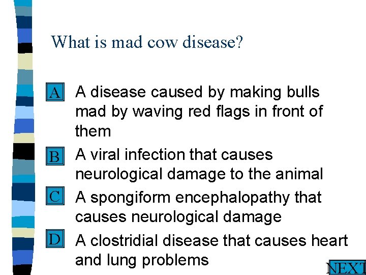 What is mad cow disease? n A disease caused by making bulls A mad