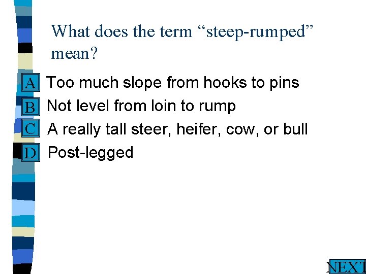 What does the term “steep-rumped” mean? n A n. B C C. D. D