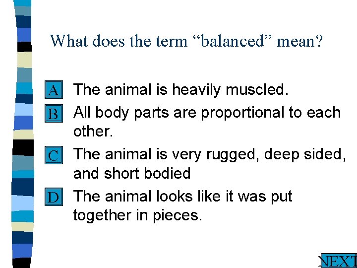 What does the term “balanced” mean? n The animal is heavily muscled. A n