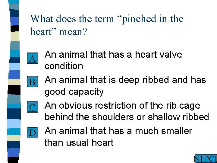 What does the term “pinched in the heart” mean? n An animal that has