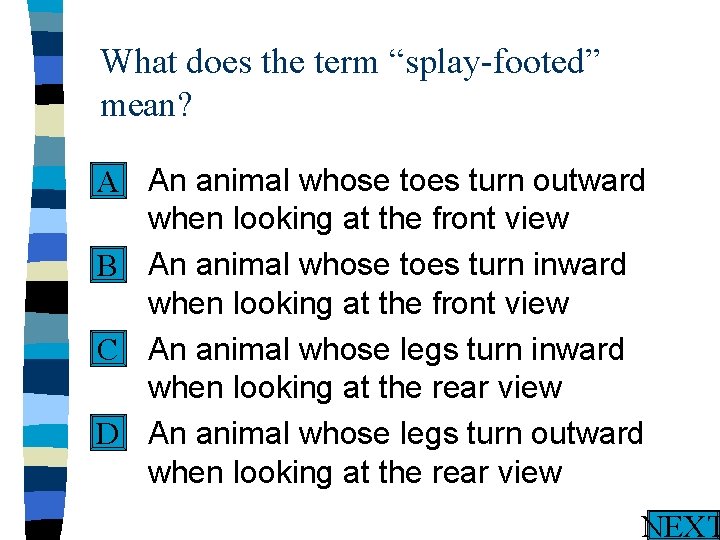 What does the term “splay-footed” mean? n An animal whose toes turn outward A