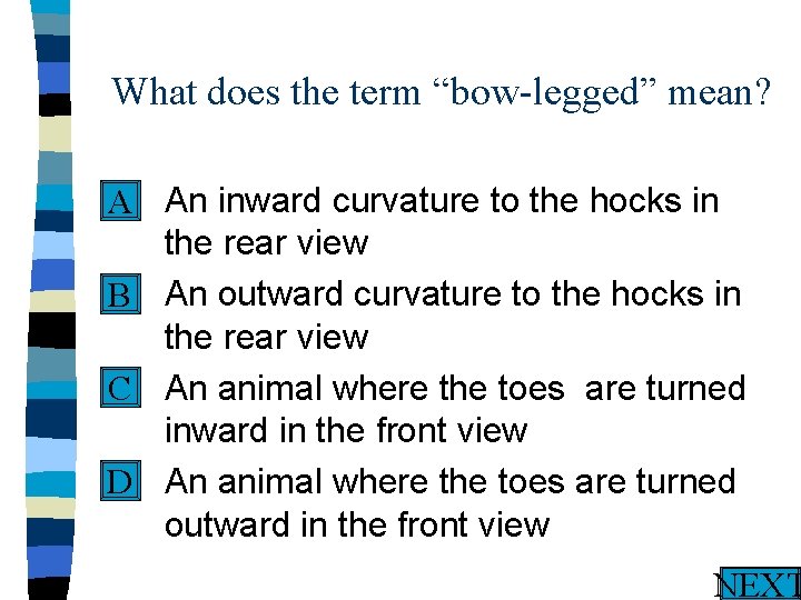 What does the term “bow-legged” mean? n An inward curvature to the hocks in