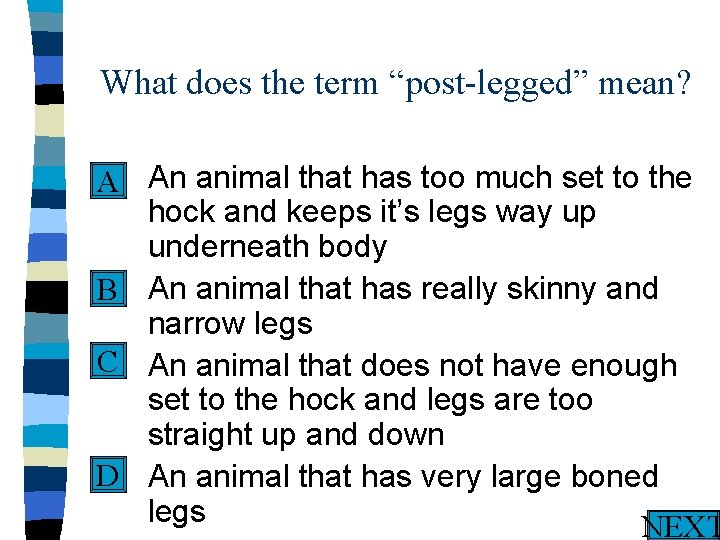 What does the term “post-legged” mean? n An animal that has too much set