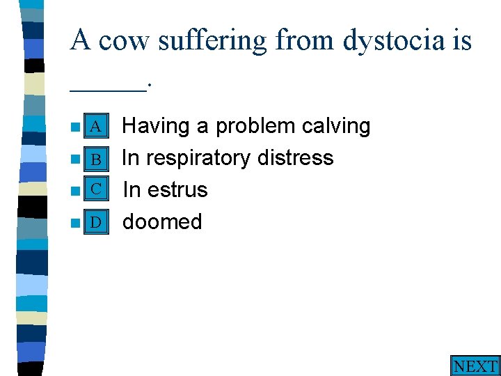 A cow suffering from dystocia is _____. A n A. n n n Having