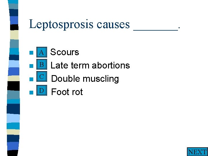 Leptosprosis causes _______. A n A. n n n Scours B Late term abortions