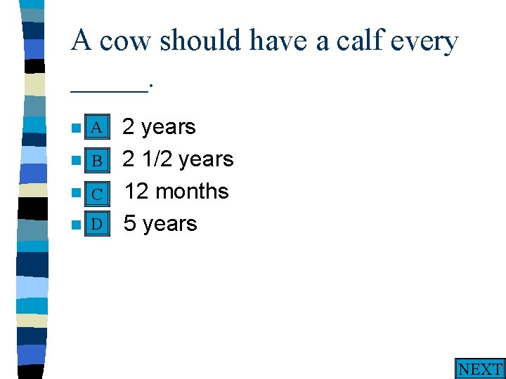 A cow should have a calf every _____. A n A. n n n