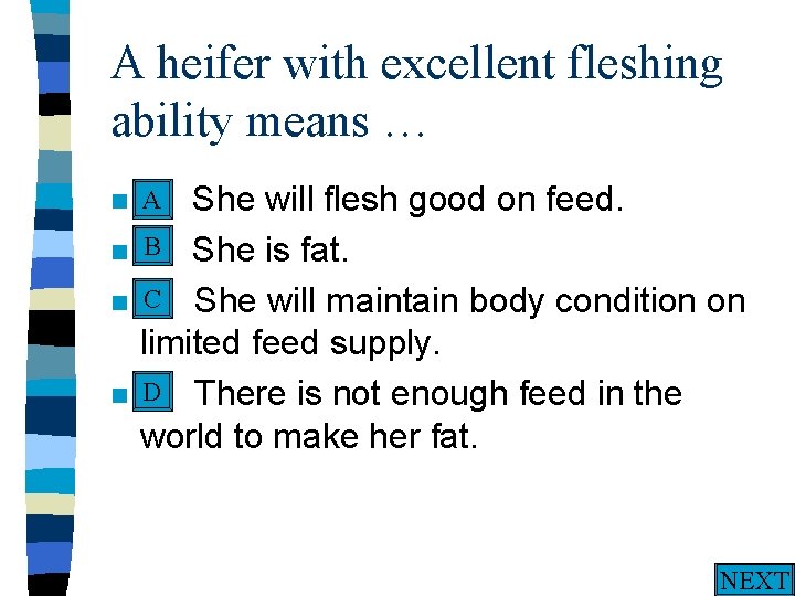 A heifer with excellent fleshing ability means … A n A. n n n