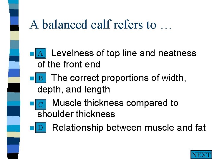 A balanced calf refers to … A n A. n n n Levelness of