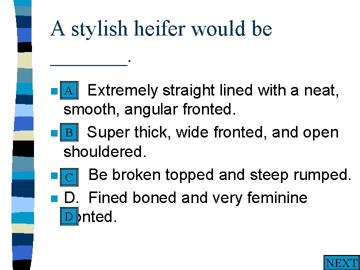 A stylish heifer would be _______. A n A. n n n Extremely straight