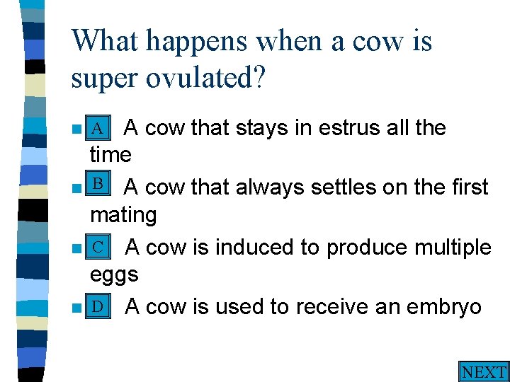 What happens when a cow is super ovulated? A n A. n n n