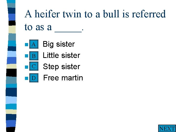 A heifer twin to a bull is referred to as a _____. A n