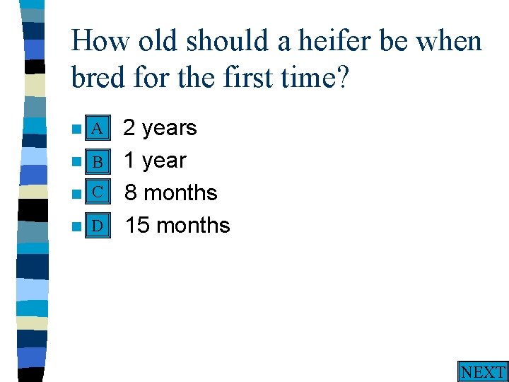 How old should a heifer be when bred for the first time? A n