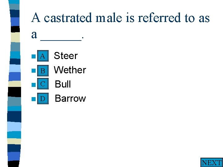 A castrated male is referred to as a ______. A n A. n n