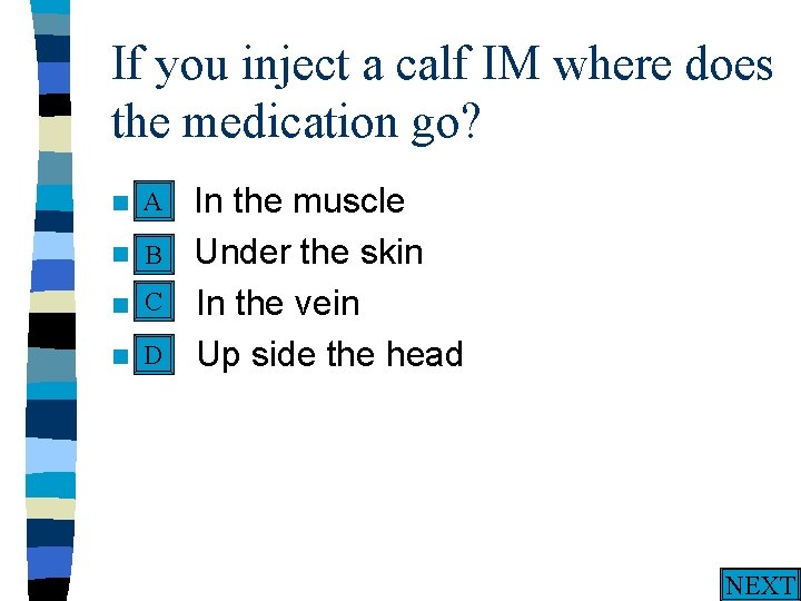 If you inject a calf IM where does the medication go? A n A.