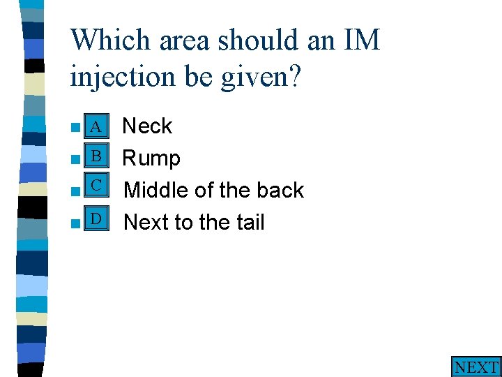 Which area should an IM injection be given? A n A. n n n