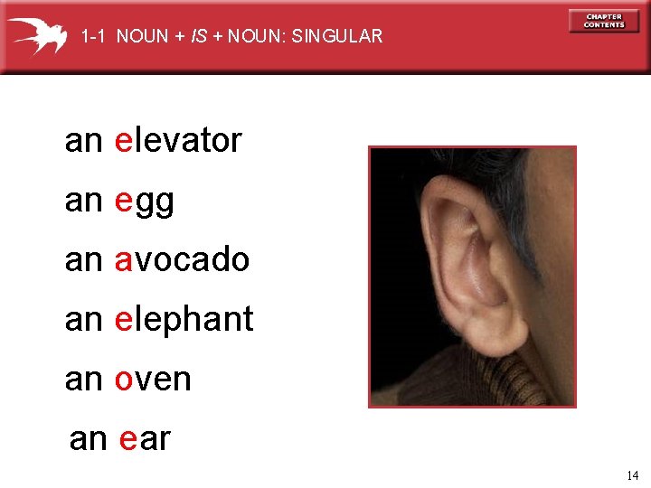 1 -1 NOUN + IS + NOUN: SINGULAR an elevator an egg an avocado