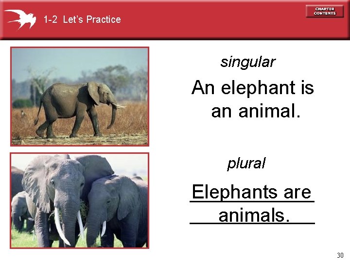 1 -2 Let’s Practice singular An elephant is an animal. plural Elephants are animals.