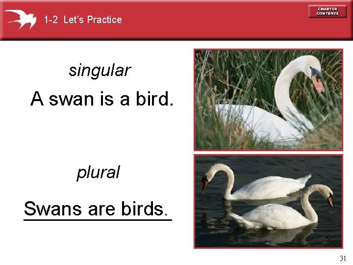 1 -2 Let’s Practice singular A swan is a bird. plural Swans are birds.