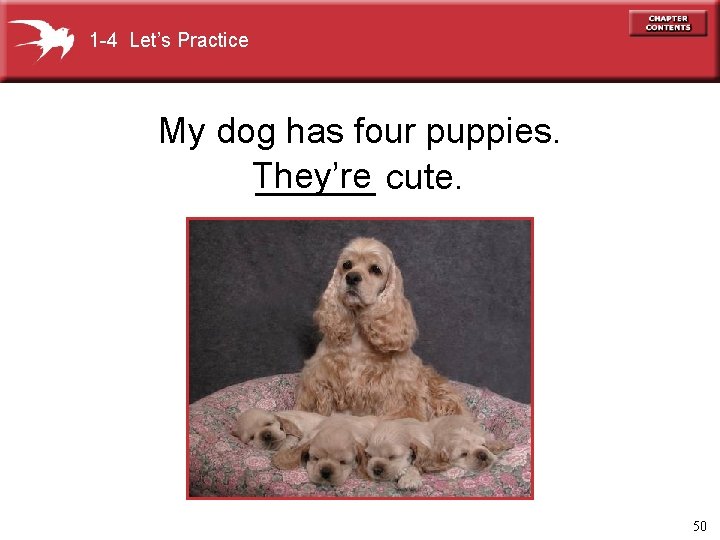 1 -4 Let’s Practice My dog has four puppies. They’re ______ cute. 50 