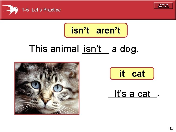 1 -5 Let’s Practice isn’t aren’t This animal _____ isn’t a dog. it cat